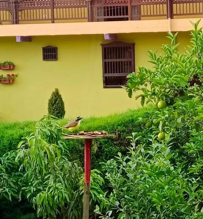 Bird House - Apartament Jardin Εξωτερικό φωτογραφία