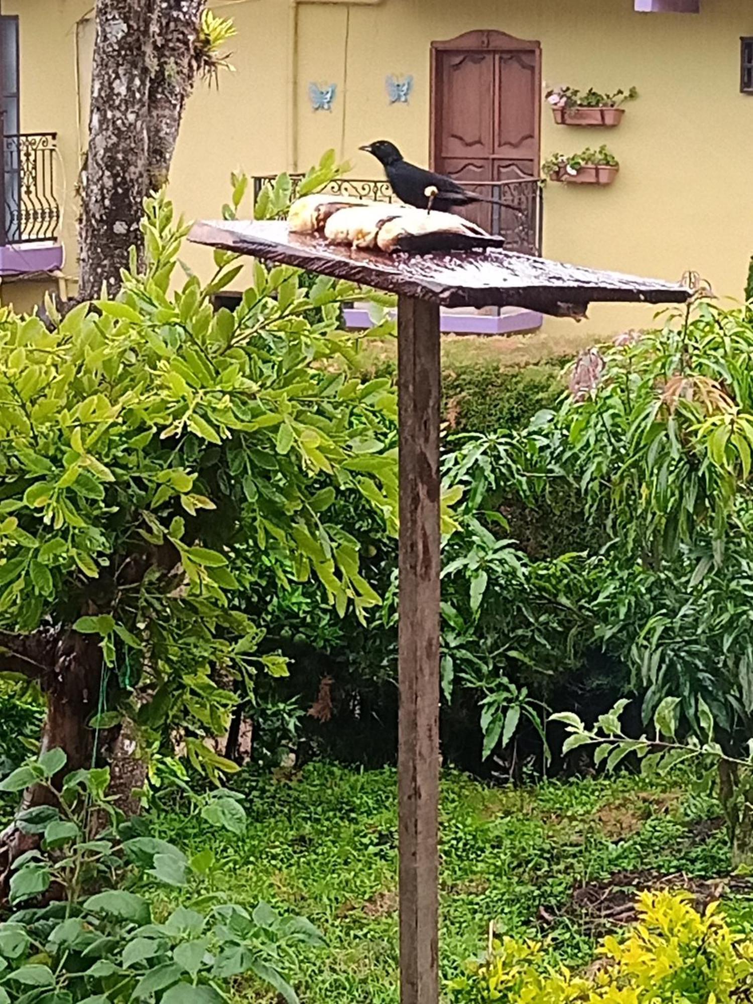 Bird House - Apartament Jardin Εξωτερικό φωτογραφία